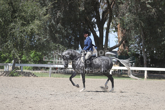 DAHA_Spring21_Thurs_0986