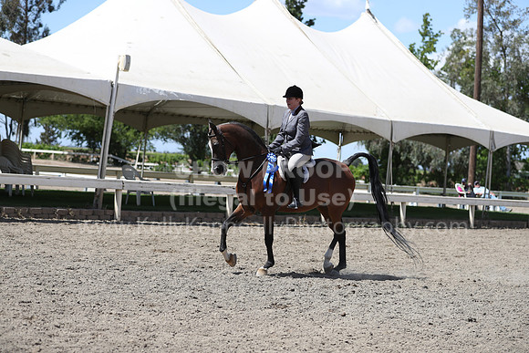 DAHA_Spring21_Thurs_1010