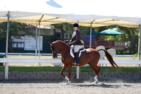 DAHA_Spring21_Fri_1593