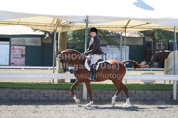 DAHA_Spring21_Fri_1594