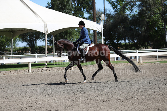 DAHA_Spring21_Fri_1590