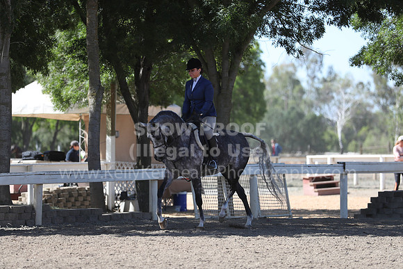 DAHA_Spring21_Fri_1597