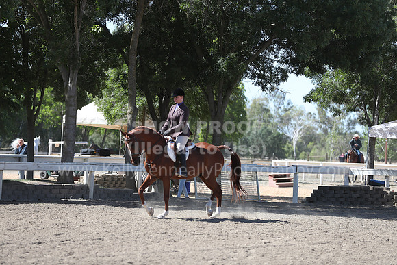 DAHA_Spring21_Fri_1606
