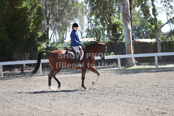 DAHA_Spring21_Fri_1611
