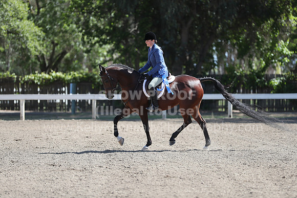 DAHA_Spring21_Fri_1620