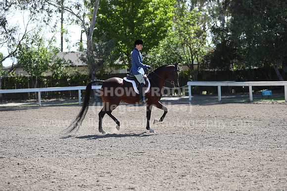 DAHA_Spring21_Fri_1618
