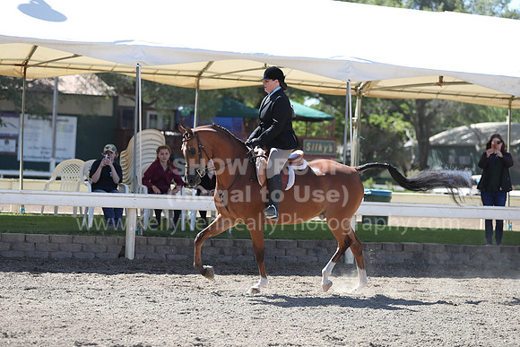 DAHA_Spring21_Fri_1635