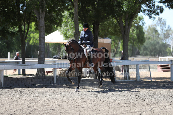 DAHA_Spring21_Fri_1667