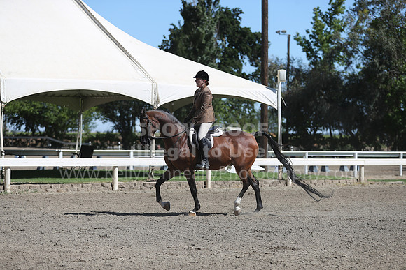 DAHA_Spring21_Fri_1647
