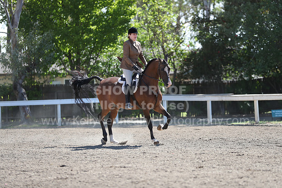 DAHA_Spring21_Fri_1653