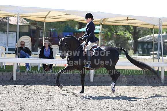 DAHA_Spring21_Fri_1681