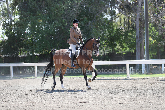 DAHA_Spring21_Fri_1655