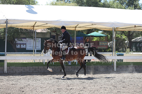 DAHA_Spring21_Fri_1689