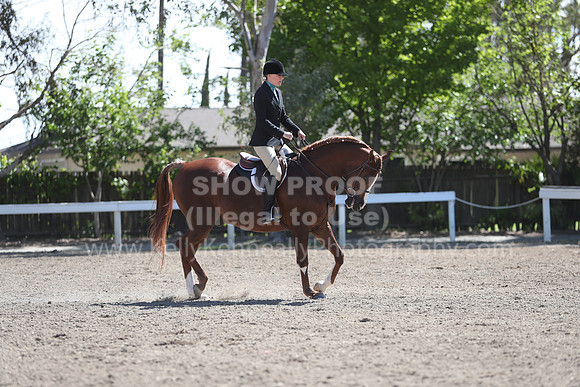 DAHA_Spring21_Fri_1694