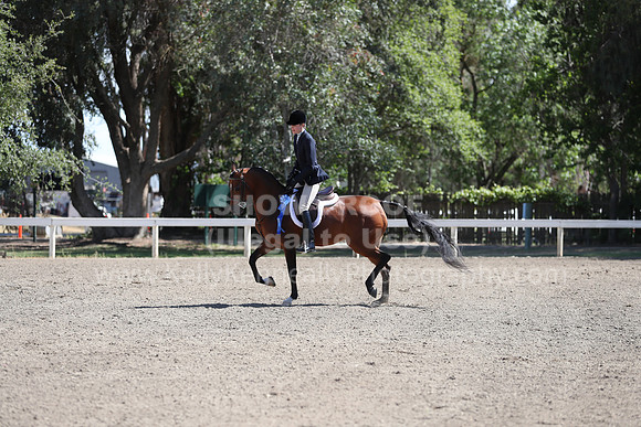 DAHA_Spring21_Fri_1659