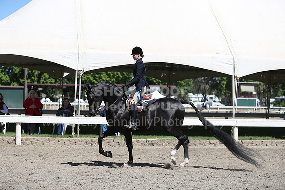 DAHA_Spring21_Fri_1703