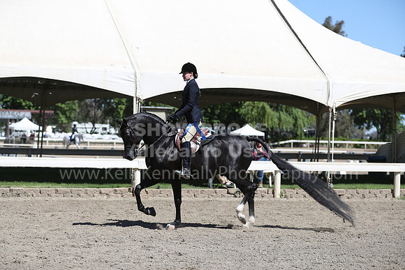 DAHA_Spring21_Fri_1702