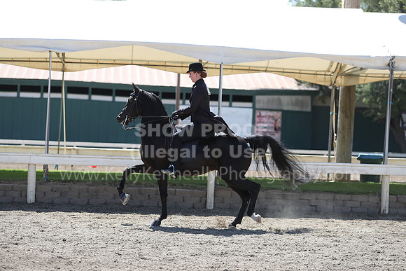 DAHA_Spring21_Fri_1809