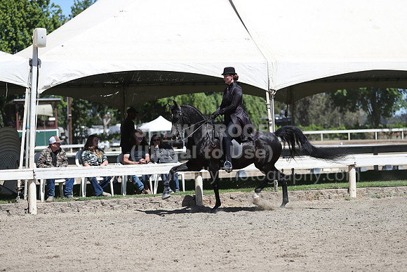 DAHA_Spring21_Fri_1815