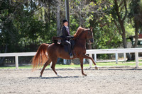 DAHA_Spring21_Fri_1832