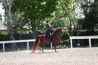 DAHA_Spring21_Fri_1841