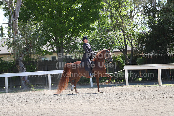 DAHA_Spring21_Fri_1841