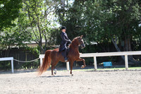 DAHA_Spring21_Fri_1843