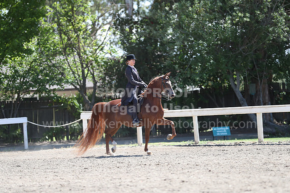 DAHA_Spring21_Fri_1843