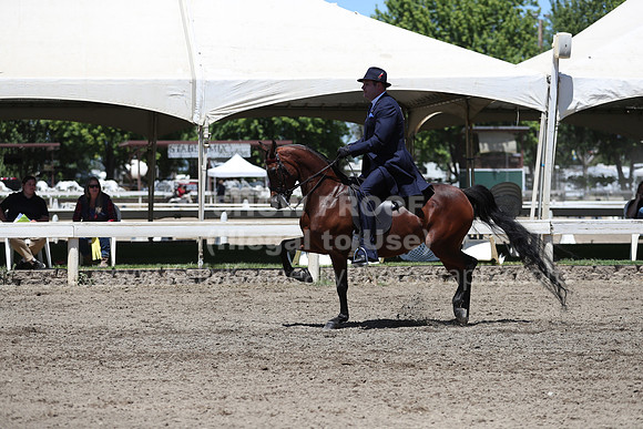 DAHA_Spring21_Fri_2000