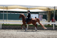 DAHA_Spring21_Fri_2008