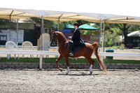 DAHA_Spring21_Fri_2007