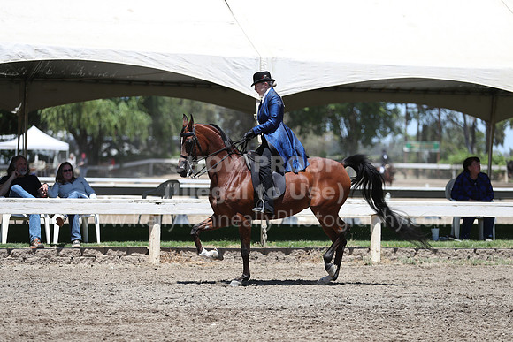 DAHA_Spring21_Fri_2010