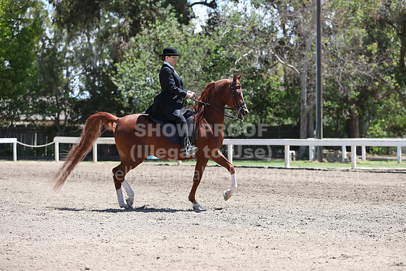 DAHA_Spring21_Fri_2011