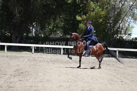 DAHA_Spring21_Fri_2014