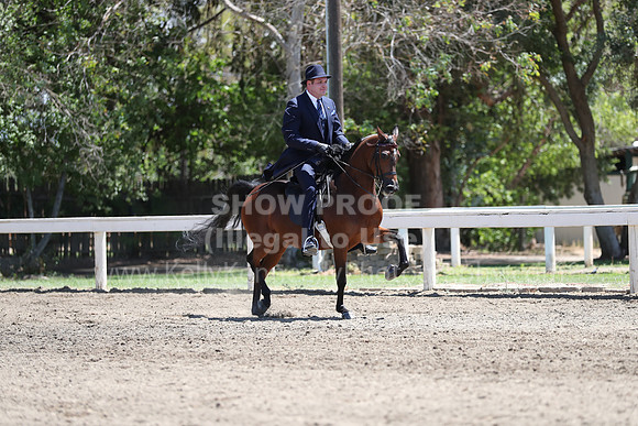 DAHA_Spring21_Fri_2013
