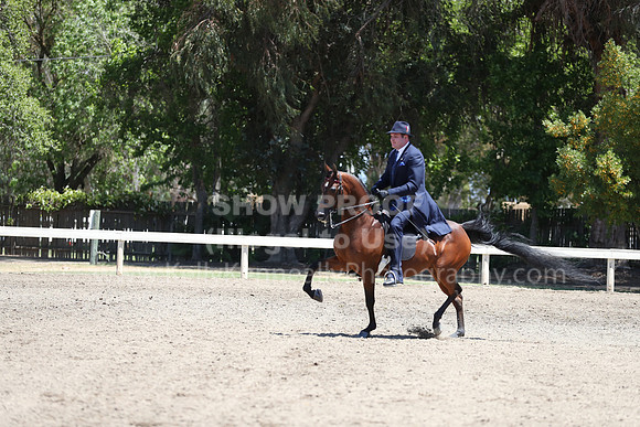 DAHA_Spring21_Fri_2017