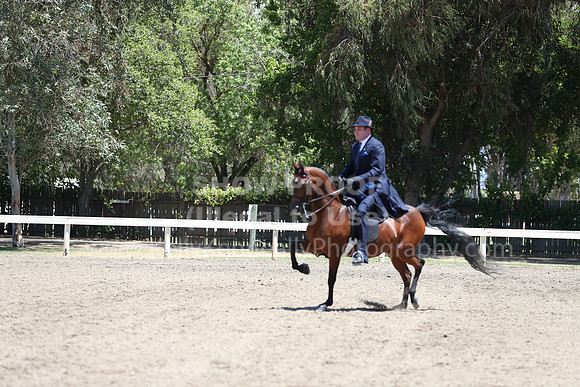 DAHA_Spring21_Fri_2019