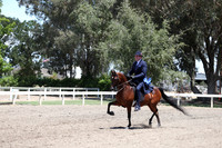 DAHA_Spring21_Fri_2024