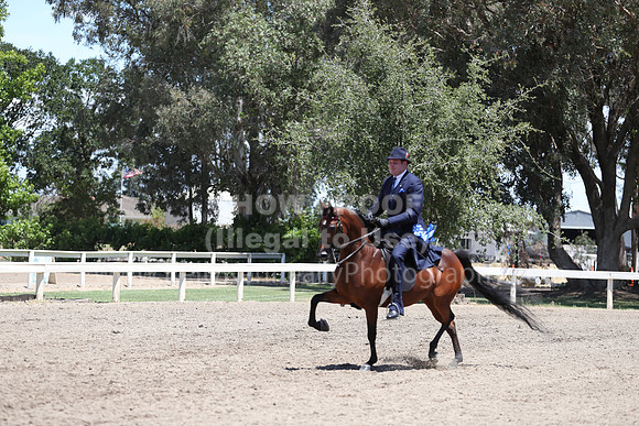 DAHA_Spring21_Fri_2024