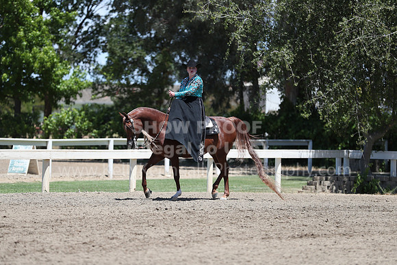 DAHA_Spring21_Fri_2057