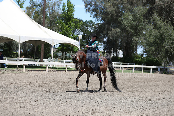 DAHA_Spring21_Fri_2063