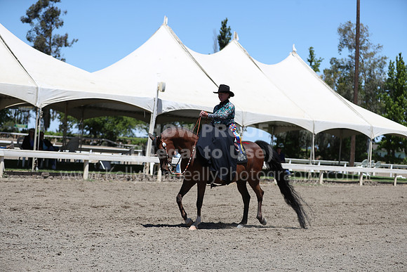 DAHA_Spring21_Fri_2068