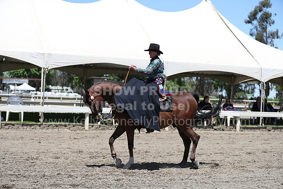 DAHA_Spring21_Fri_2071