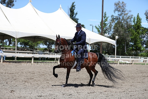 DAHA_Spring21_Fri_2087