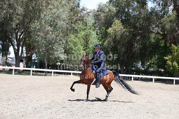 DAHA_Spring21_Fri_2082