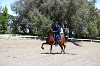DAHA_Spring21_Fri_2084
