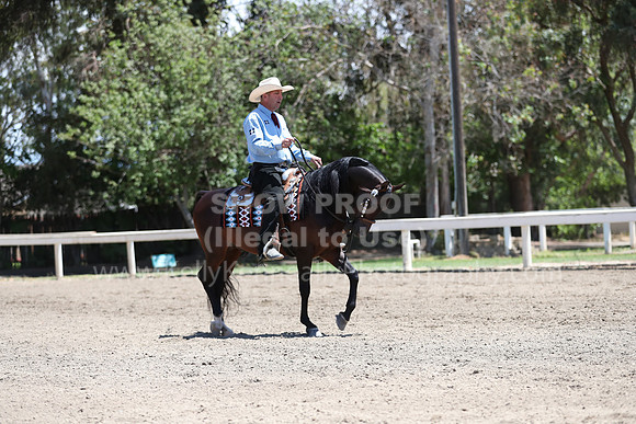 DAHA_Spring21_Fri_2111