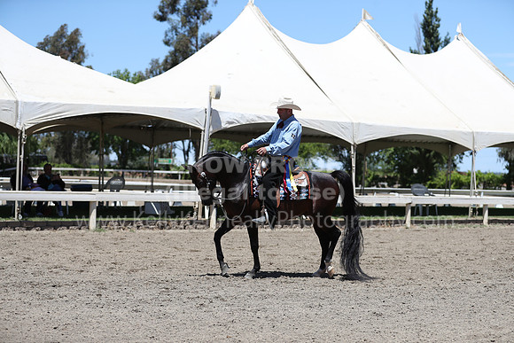DAHA_Spring21_Fri_2115