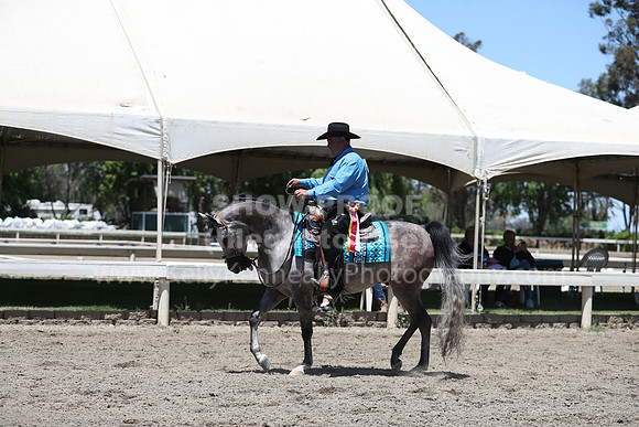 DAHA_Spring21_Fri_2126