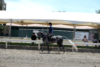 DAHA_Spring21_Fri_2147